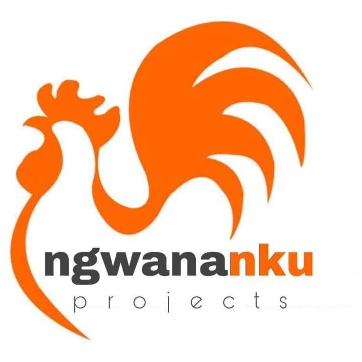 Ngwananku Projects