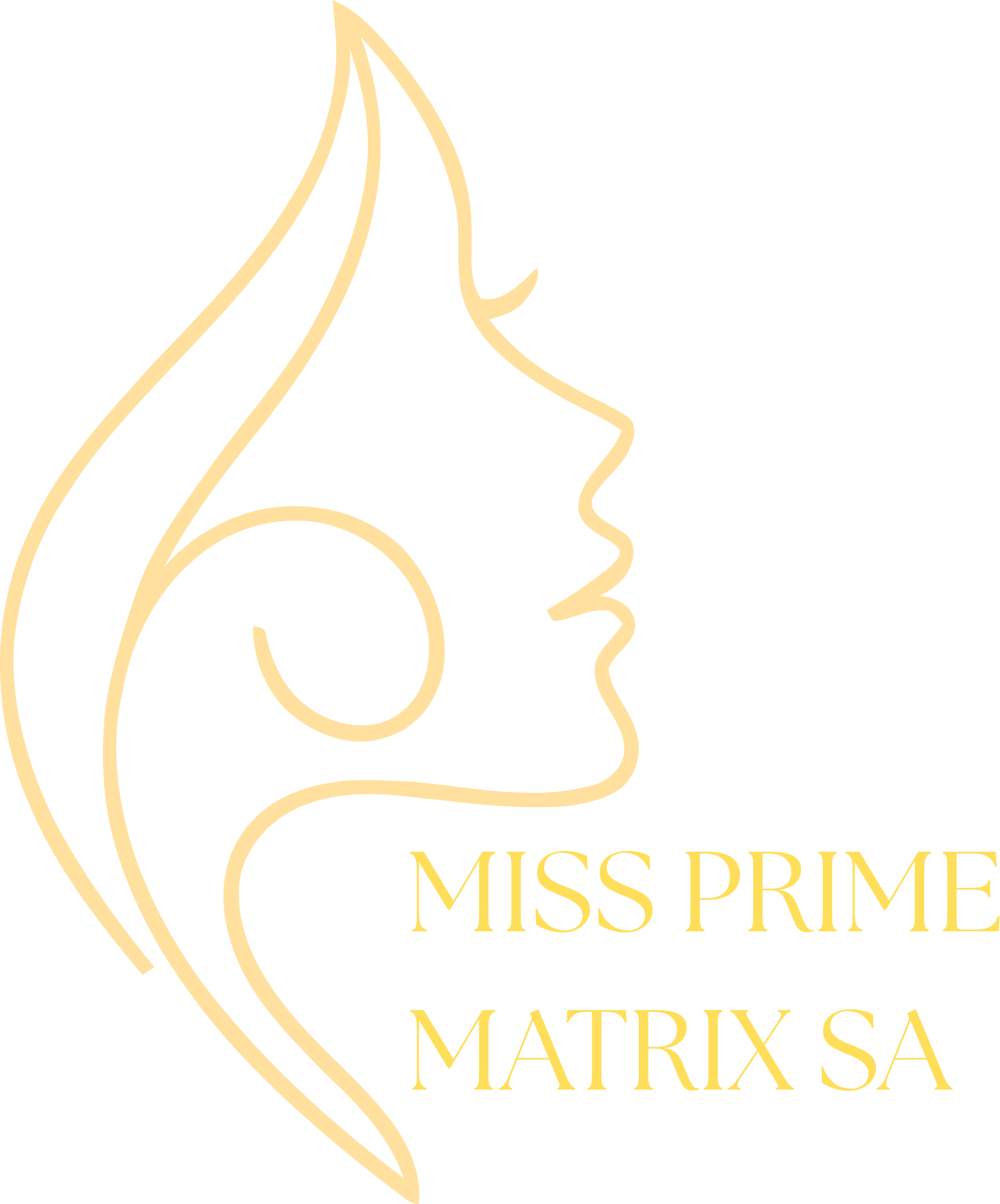 Prime Matrix South Africa logo